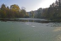 20210301_I-WEIHER_002