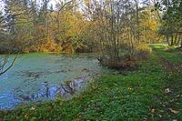 20210301_I-WEIHER_003